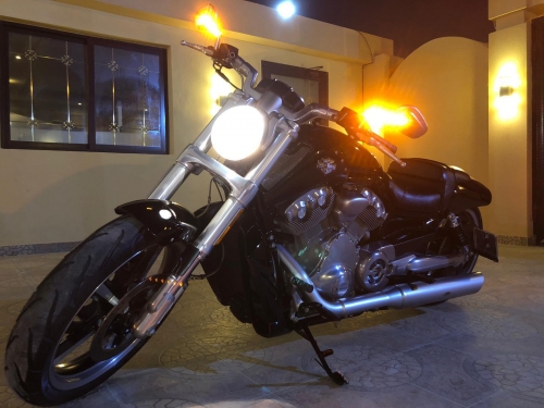 Harley Davidson  V-Rod  
